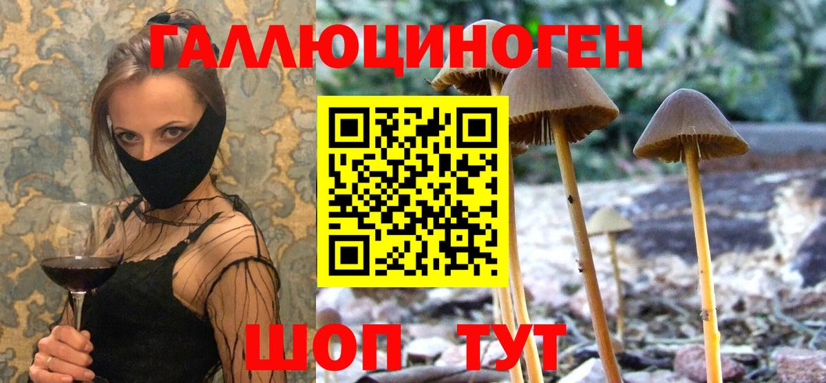Кемерово  Псилоцибиновые грибы ЛСД  Псилоцибиновые грибы GOLDEN TEACHER  Вход с VPN 